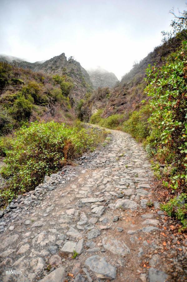 Naturaleza Viva El Socorro Exteriér fotografie