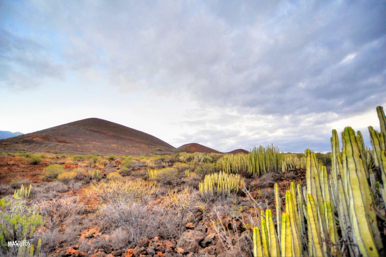 Naturaleza Viva El Socorro Exteriér fotografie
