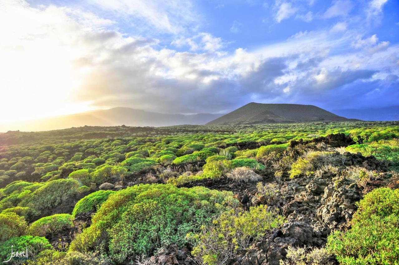 Naturaleza Viva El Socorro Exteriér fotografie